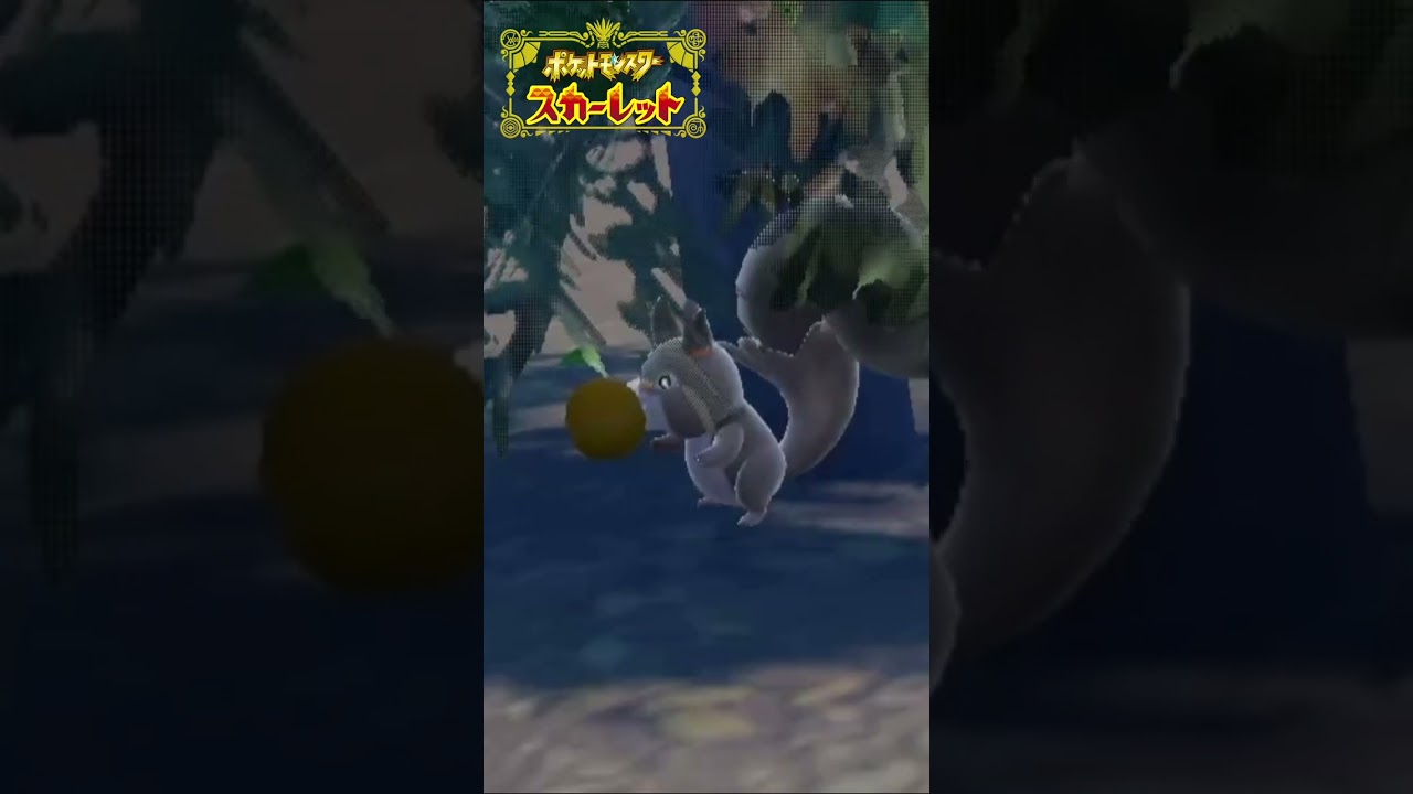 ただホシガリスが食べてるだけの動画【ポケモンSV】 #shorts #ポケモンsv #スカーレット #ホシガリス
