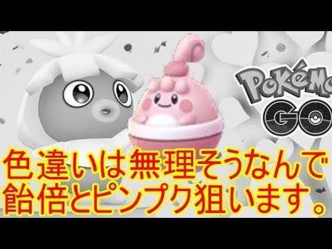 ポケモンGO　ピンプクを狙うだけでも十分！