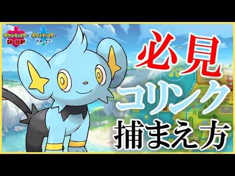 『レントラー使い入門』～コリンクの捕まえ方～part1【ポケモン剣盾】【レントラー】