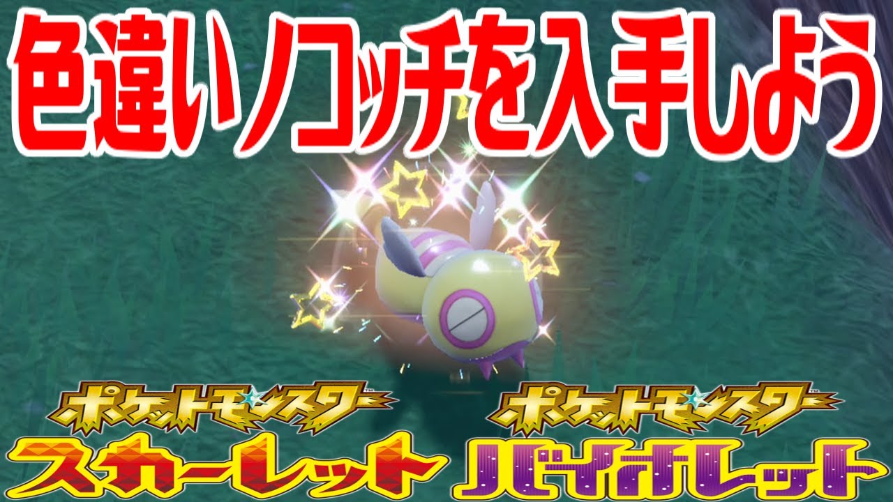 【ポケモンSV】色違いノコッチを入手しよう【ポケットモンスター スカーレット・バイオレット】Pocket Monsters
