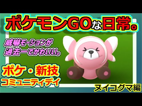 【ポケモンGOな日常】コミュニティデイ：ヌイコグマ編　【ポケモンGO】