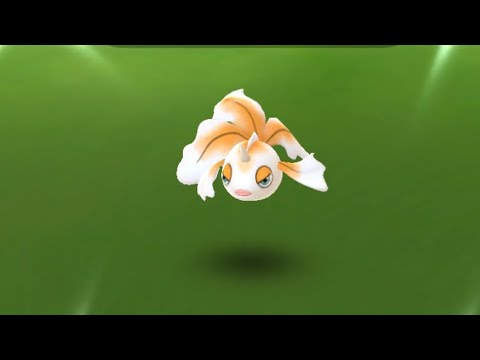 【ポケモンGO】色違いトサキントゲットした瞬間！ #shorts