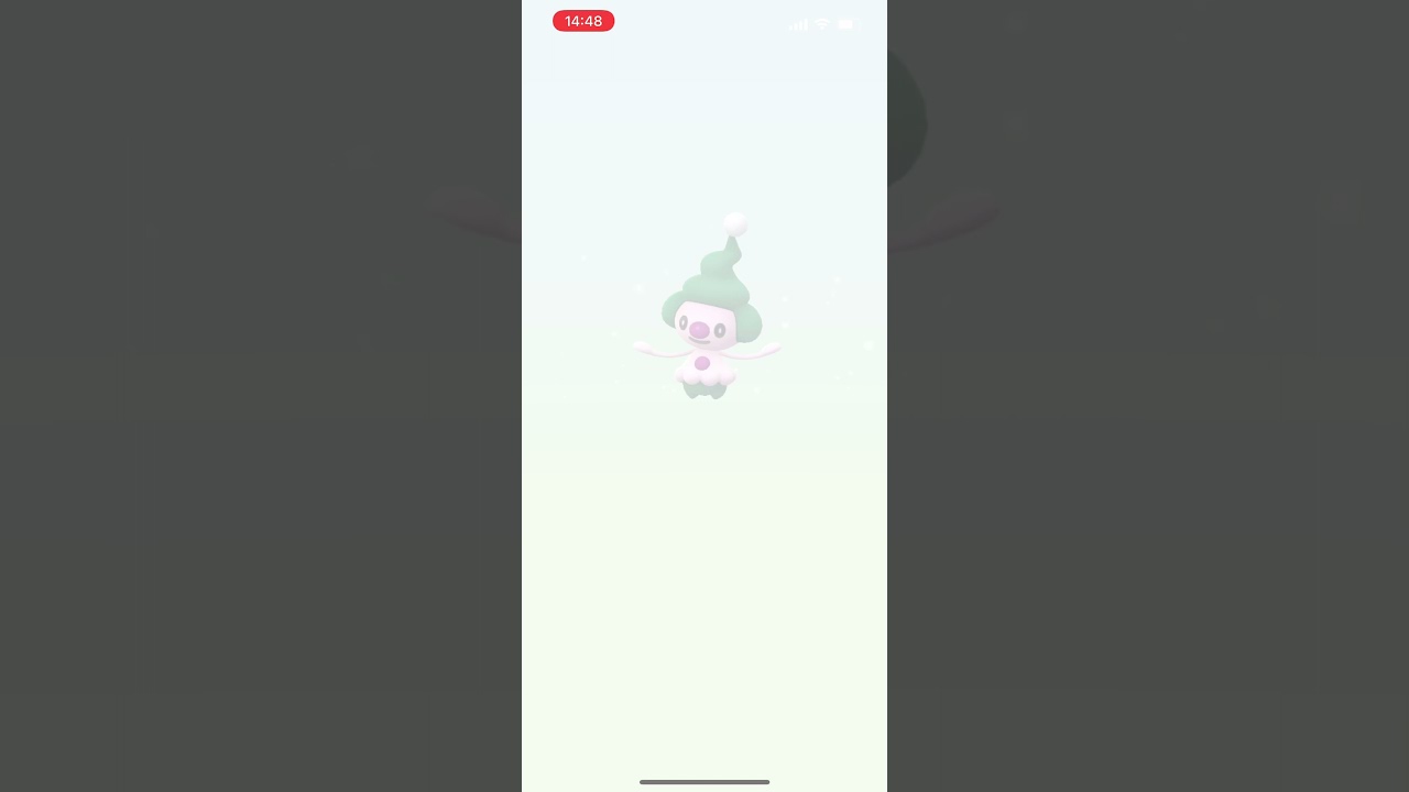 マネネの色違いが生まれる瞬間