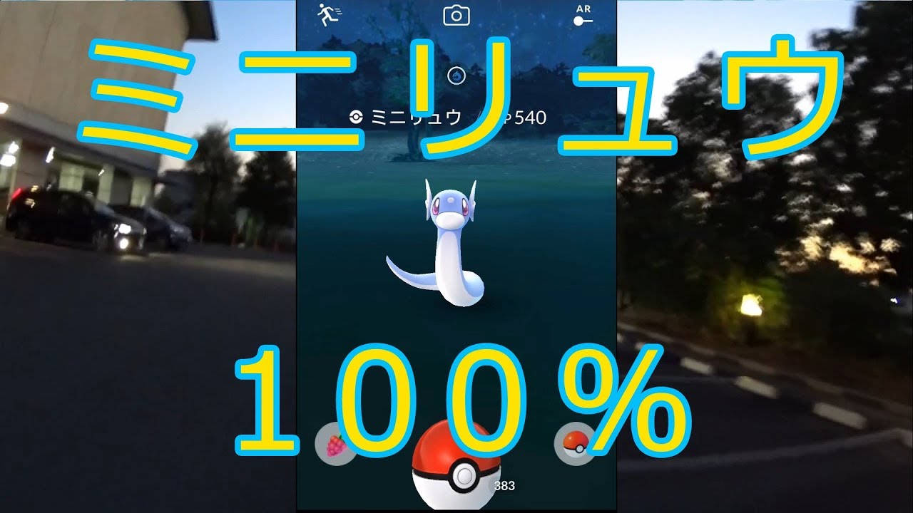 【ポケモンGO】個体値100%のミニリュウが出た！