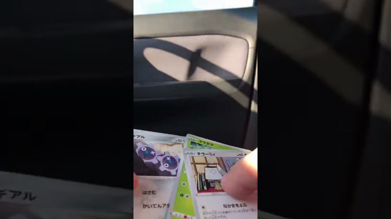 贅沢言いません。ビーダルをください。 #shorts