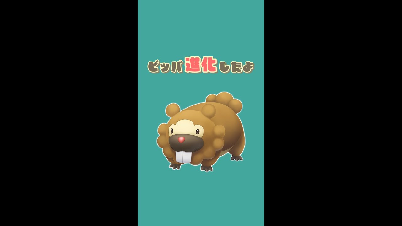 ビッパ進化したよ【ダイパリメイク】#Shorts