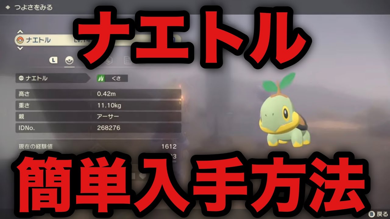【ポケモン アルセウス】ナエトル 簡単入手方法【レジェンズ】