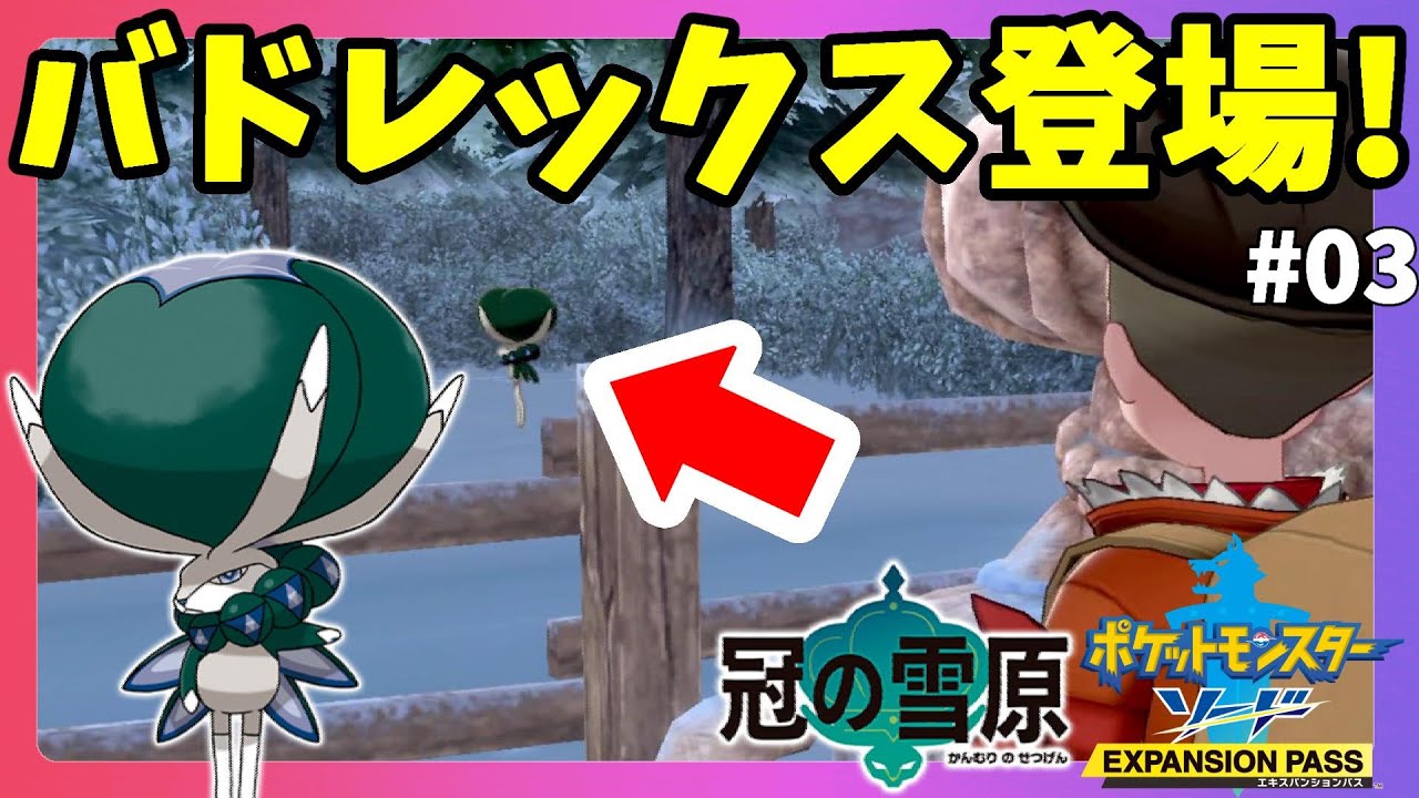 【ポケモンソードシールド】バドレックス登場！伝説ポケモン調査開始でソニアに遭遇！#03冠の雪原【エキスパンションパス】