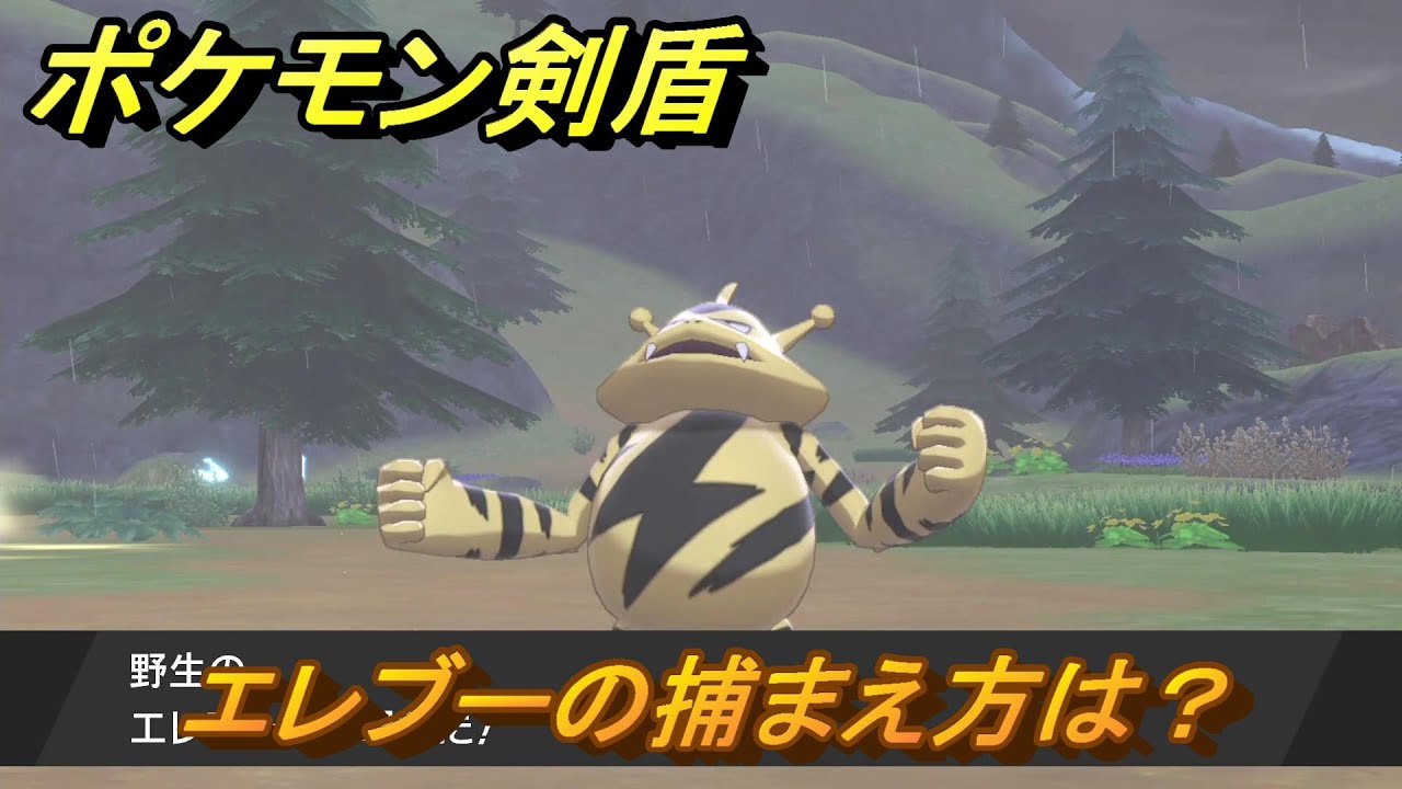 ポケモン剣盾　エレブーを捕まえる方法！オススメの場所は？天気は？ポケモン図鑑コンプへの道！　最新版【ポケモンソード・シールド】