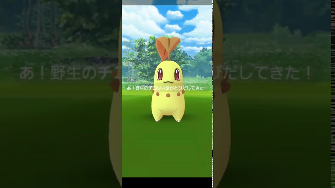 色違いチコリータをゲット！【ポケモンGO】