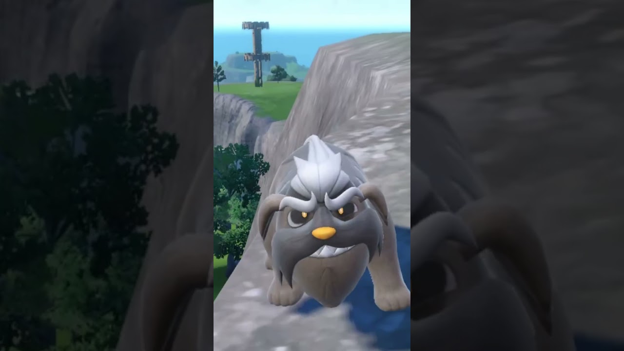 【ポケモンSV】色違い図鑑埋め企画 進捗報告 ゾロア編 #shorts
