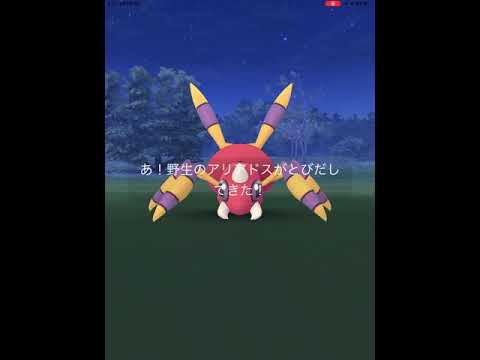 【ポケモンGO】初めて、野生のアリアドスに遭遇！