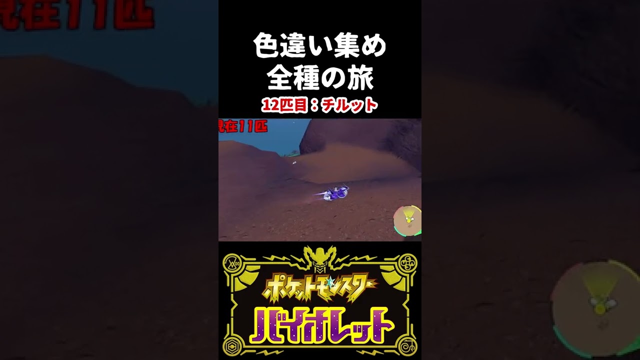 【色違い集めの旅】チルット編【ポケモンSV】