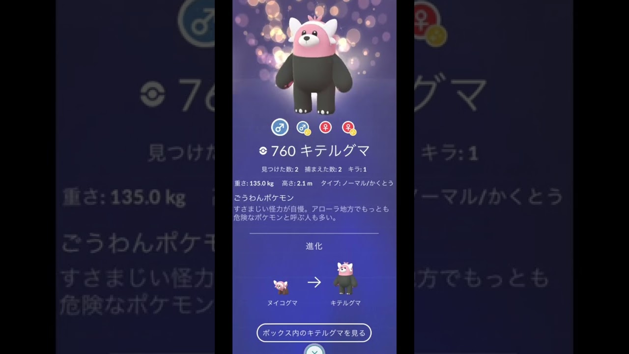 ヌイコグマ/キテルグマ色違い【色違いポケモン】レジェンズアルセウス/ダイパリメイク