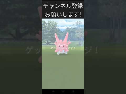 ［ポケモンGO］サニーゴ色違いチャレンジ!#ポケモンgo #shorts