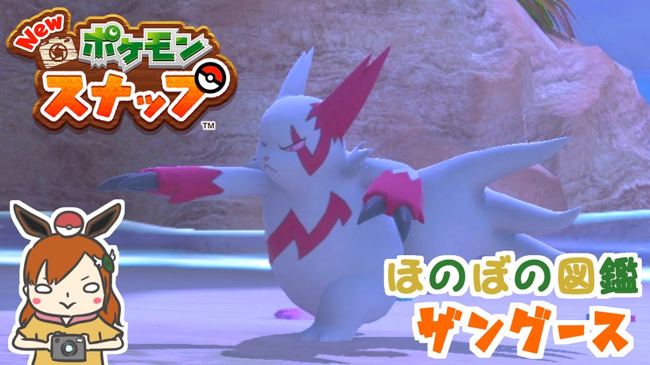 【ザングース】ライバルとの決戦！ほのぼの図鑑！【Newポケモンスナップ】＃shorts