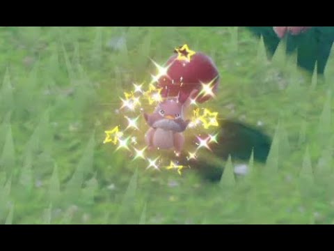 【ポケモンsv】ホシガリス色違い