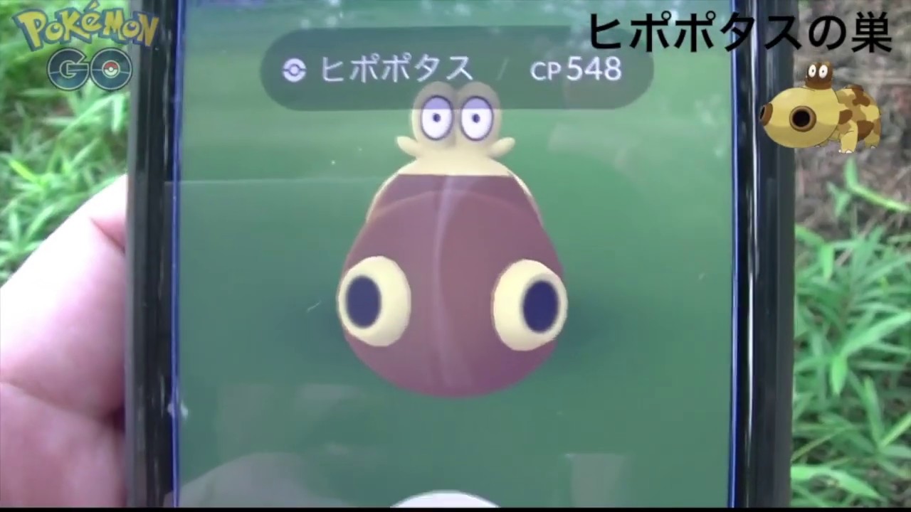 ヒポポタスの巣