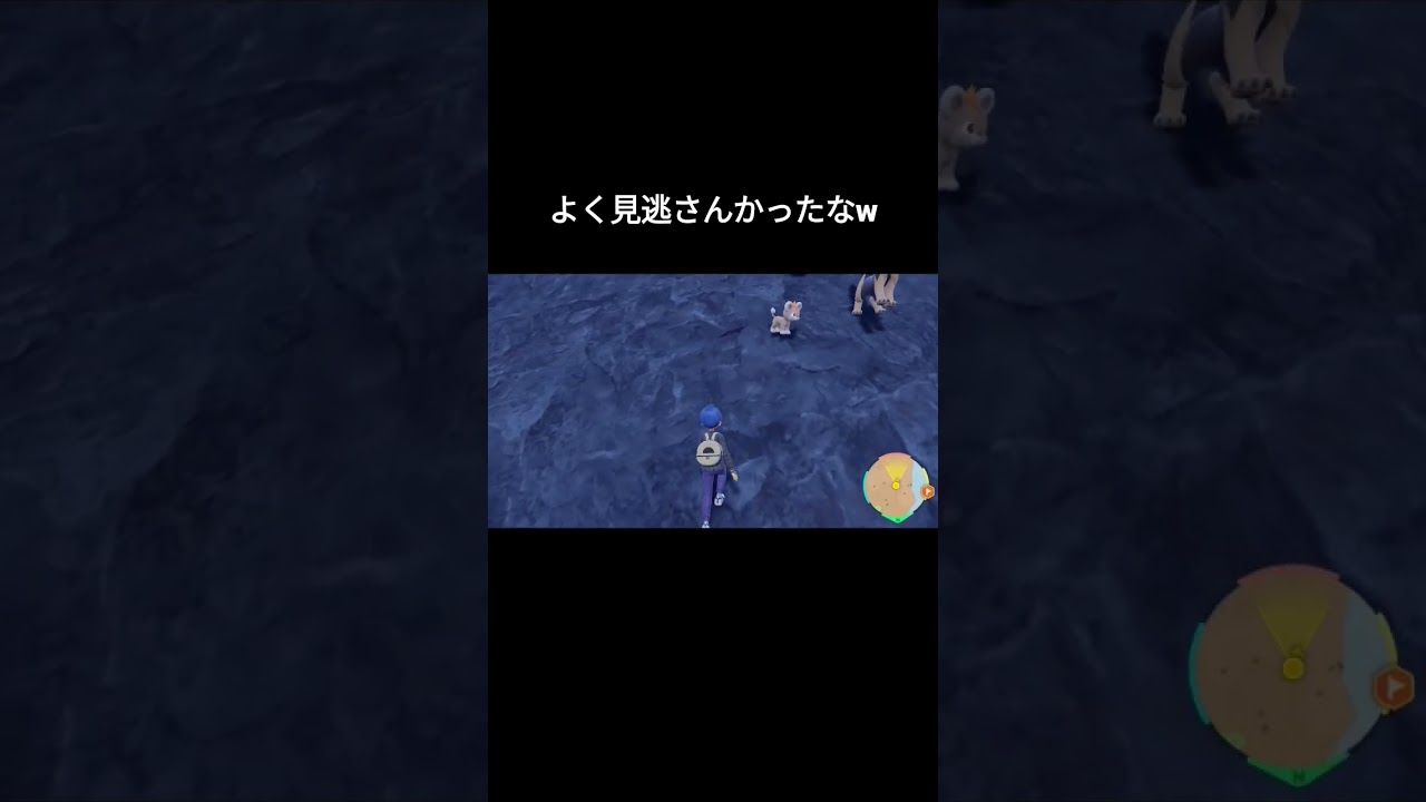 【ポケモンＳＶ】色違いシシコ出現シーン【サンドウィッチ色違い厳選】