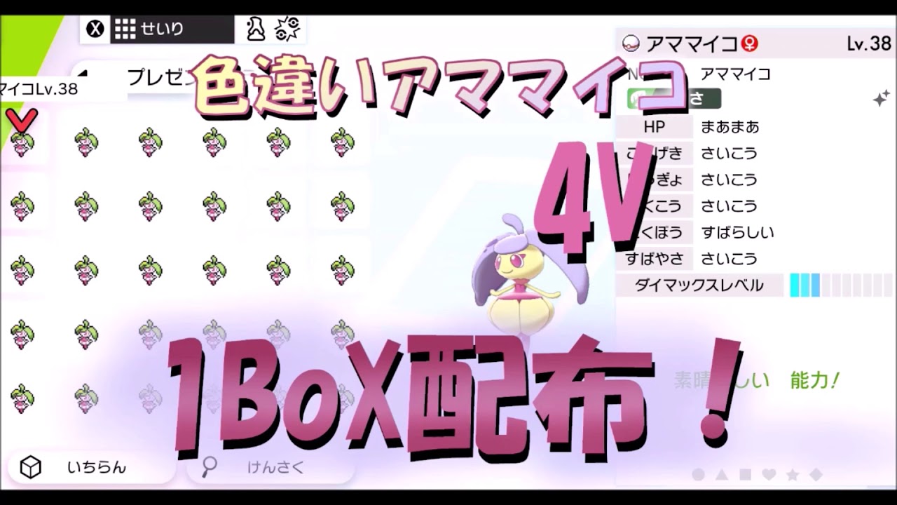 色違いポケモン配布します！【ポケモン剣盾】アママイコ（アマージョ進化前）