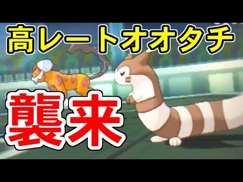 オオタチ攻略大作戦！格上の高レートをどう倒す？【ポケモンUSUM/ウルトラサン・ウルトラムーン】