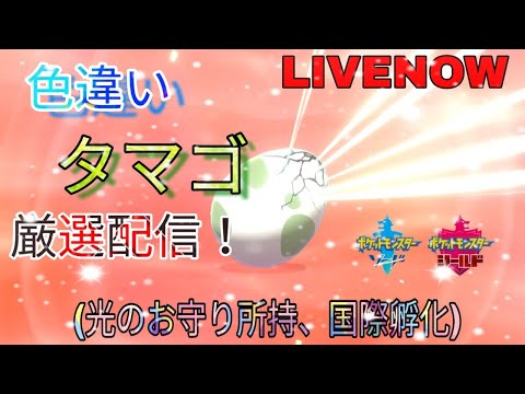 【ポケモン剣盾】色違いヒトツキ（ゲンガー探し休憩）〜1:00【初見さん歓迎・雑談】