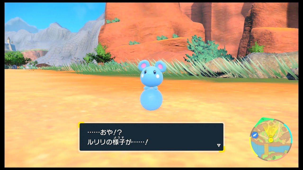 SVのポケモン　ルリリ なつき レベルアップで進化だぜ！