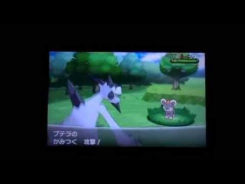 ポケモンXY メガプテラ！ステータス＆特性紹介 Edwin DuBarrera