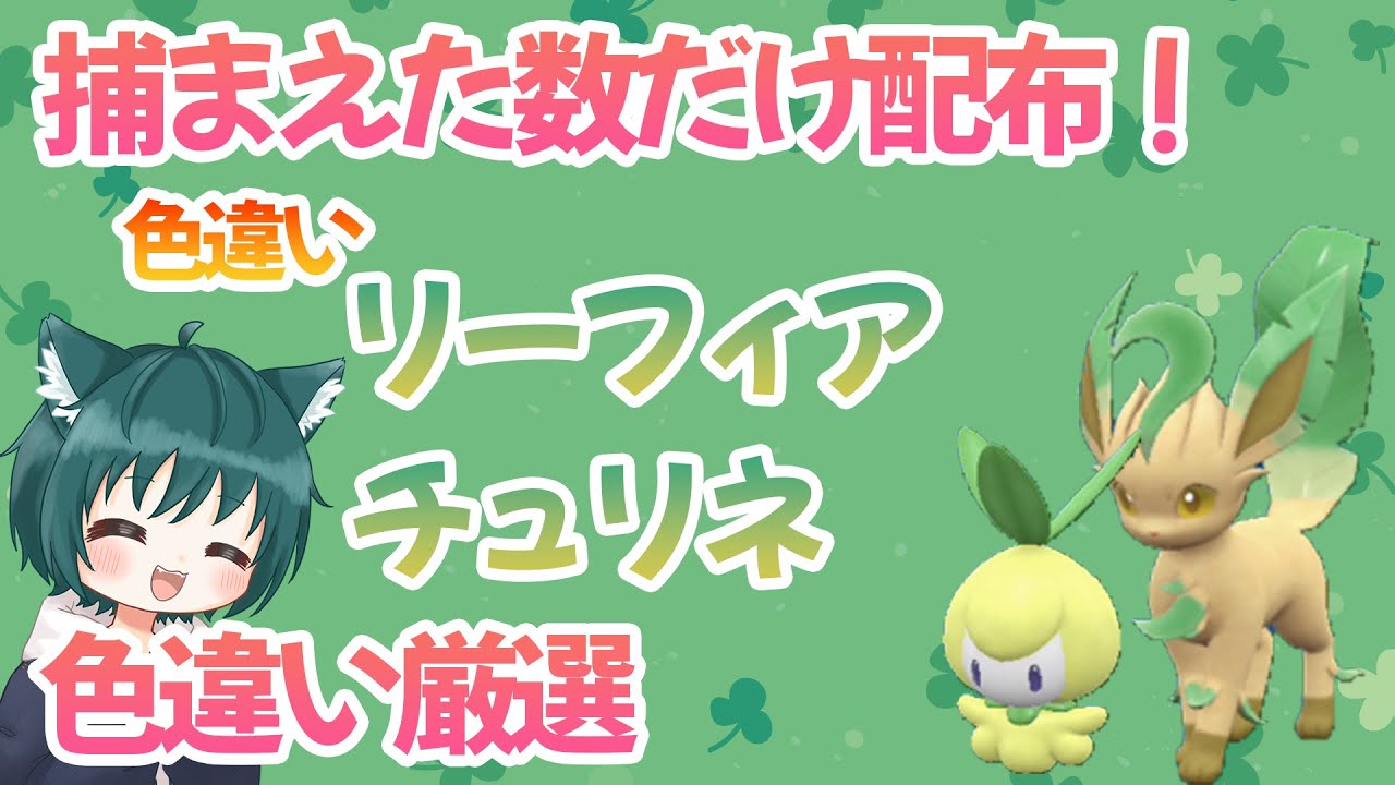 【ポケモンSV】色違いリーフィアとチュリネを厳選する配信【厳選&配布】