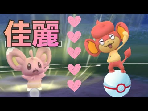 【GOバトルリーグ】ハニートラップ？　可愛いだけじゃない"小悪魔"チラーミィと甘え倒す！【リトルカップ】