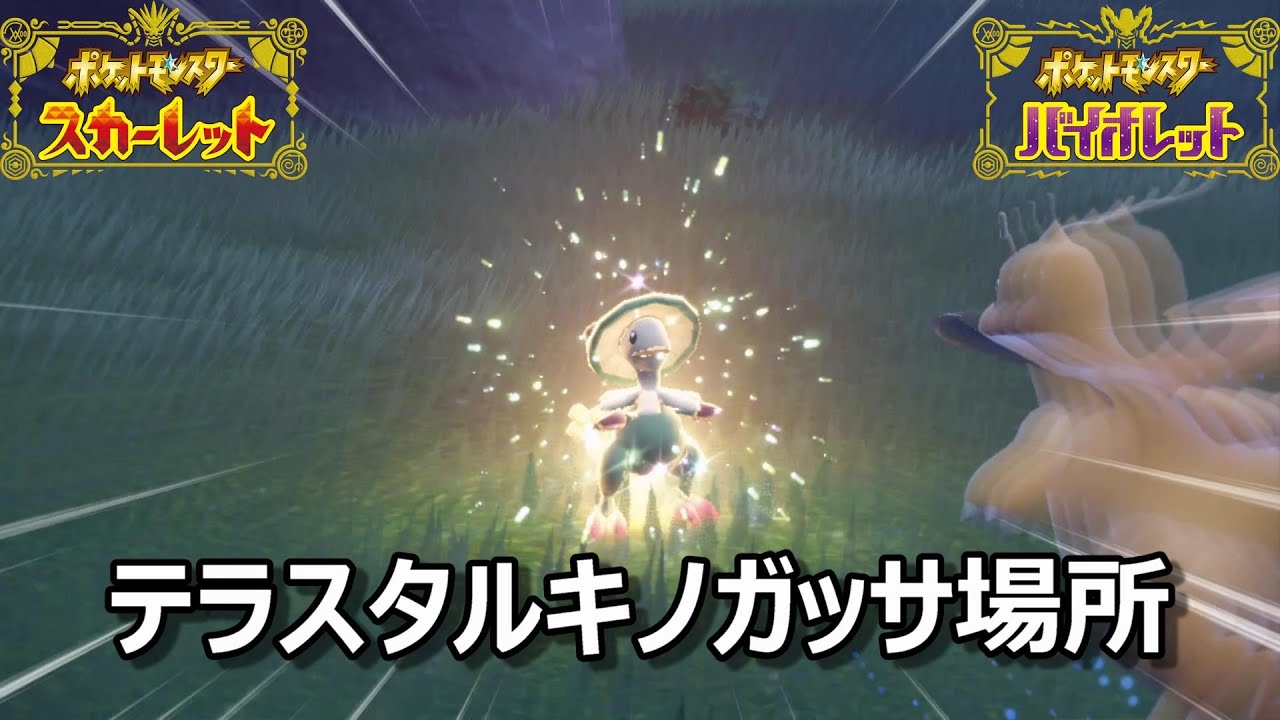 【ポケモンSV】テラスタルキノガッサ場所　野生テラスタル＃５２【スカーレット・バイオレット】