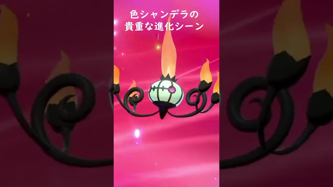 色違いシャンデラの貴重な進化シーン#shorts