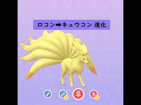 【ポケモンGO】色違い進化(LvUp)動画 ロコン➡キュウコン ☆shiny☆#Shorts