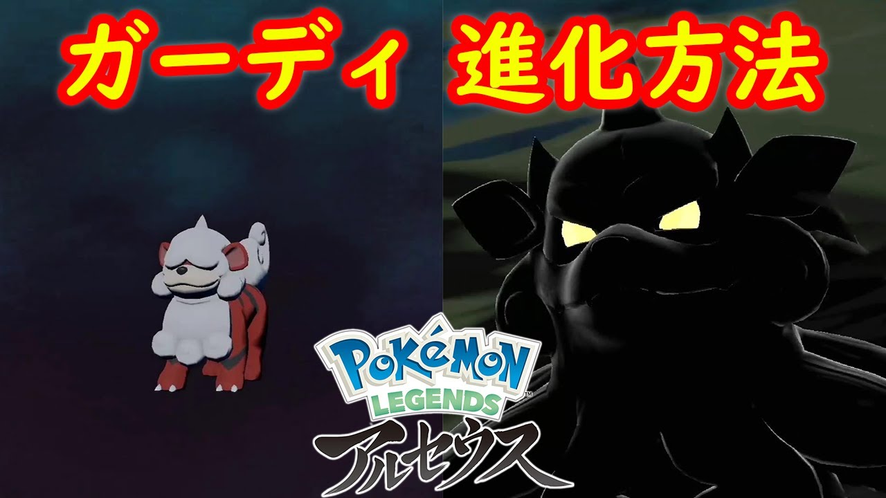 【ヒスイ ガーディ → ウィンディ】進化方法 攻略  【Pokémon LEGENDS アルセウス ポケモン レジェンズ アルセウス】