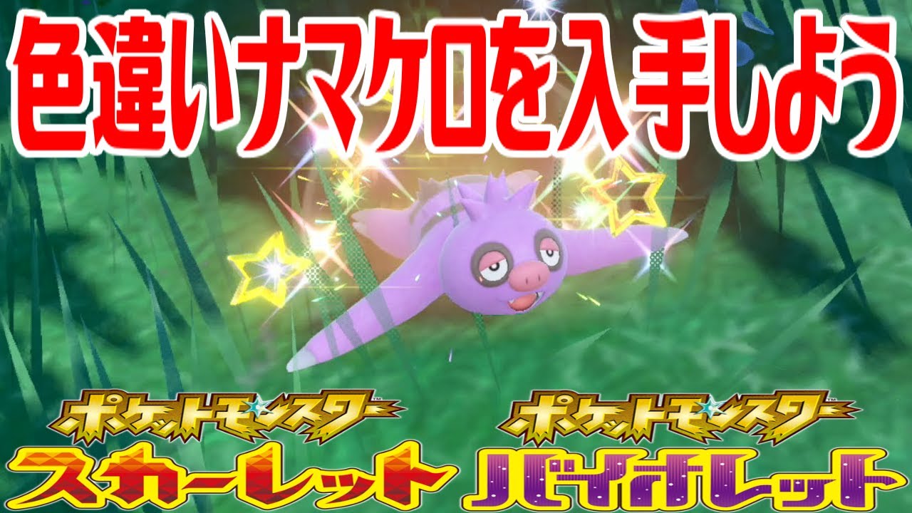 【ポケモンSV】色違いナマケロを入手しよう【ポケットモンスター スカーレット・バイオレット】Pocket Monsters