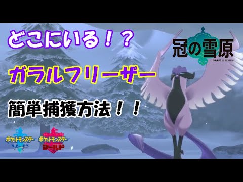 【冠の雪原】どこにいる！？ガラルフリーザーの簡単捕獲法！！【ポケモン剣盾】