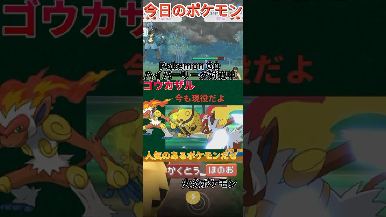 今日のポケモン【ゴウカザル】　#short　#ゴウカザル #ポケモン #Pokemon GO #SHOCH