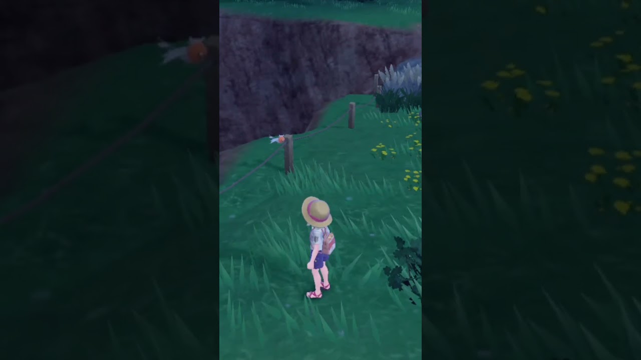 柵に引っかかるヤヤコマ【ポケモンsv】