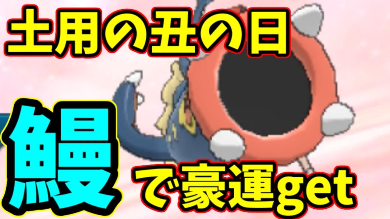 【ポケモンＵＳＭ】土用の丑の日”シビルドン”を使って豪運をgetしようと思ったら...【閲覧注意】