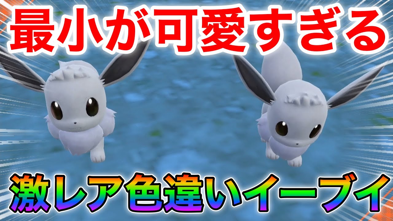小さい色違いイーブイを手に入れろ！！【ポケモンsv厳選】
