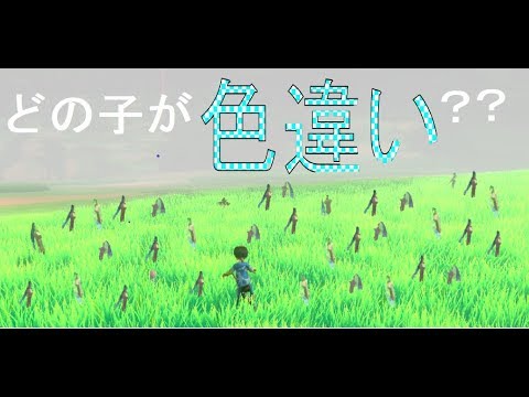 野生産を狙う！！｜ヒトツキ色違い｜9体目｜ポケモン剣盾｜【第296回】12月12日