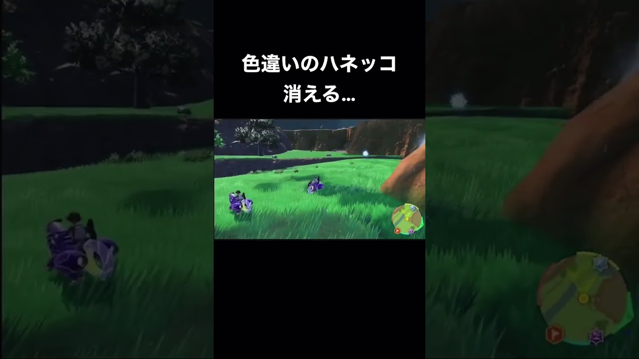 色違いのハネッコは見間違いじゃないはず…