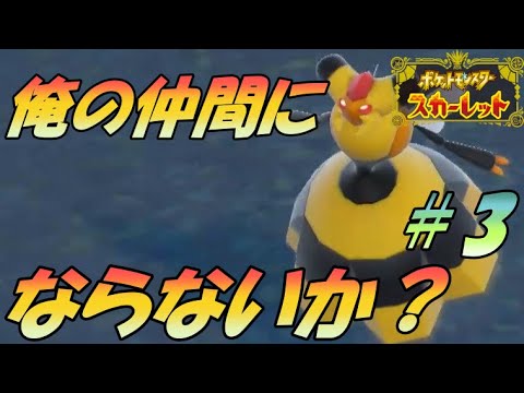 ビークインにめっちゃ嫌われている男　#3 【ポケモンSV】