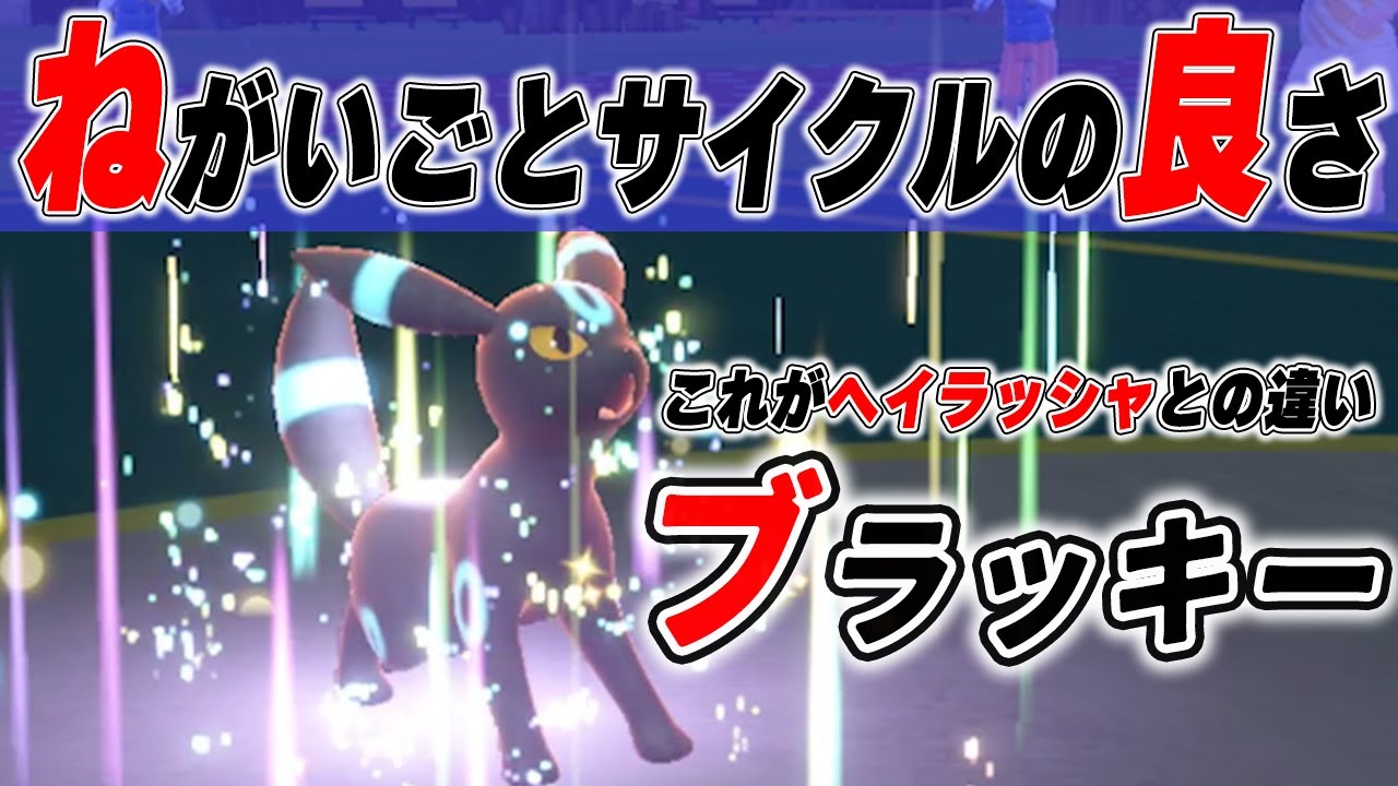 ヘイラッシャよりブラッキーが圧倒的に優れている所は"ねがいごと"【ポケモンSV】