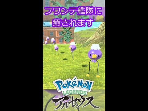 ふわふわしたフワンテ６匹艦隊に癒されたい【ポケモンレジェンズアルセウス】#Shorts