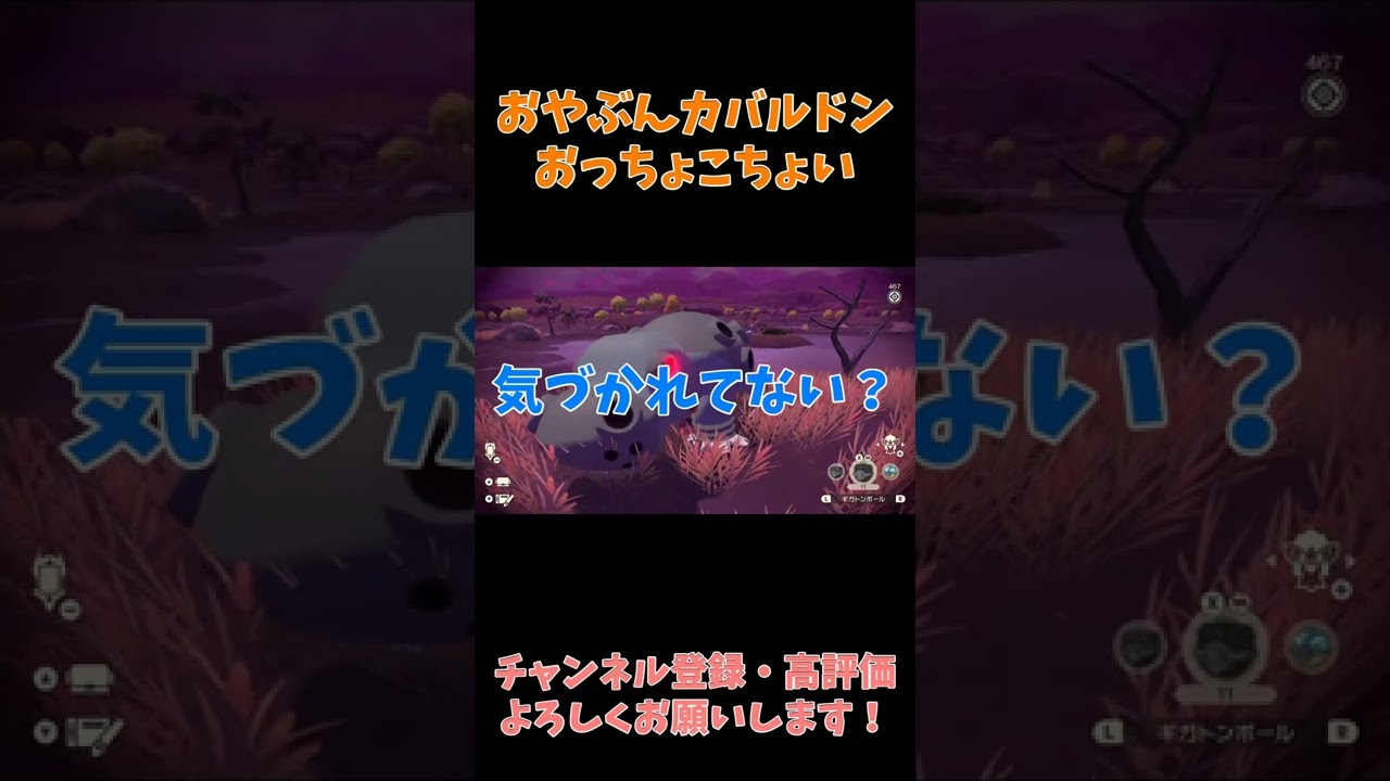 おっちょこちょいなおやぶんカバルドン【PokémonLEGENDSアルセウス】【ポケモンアルセウス】