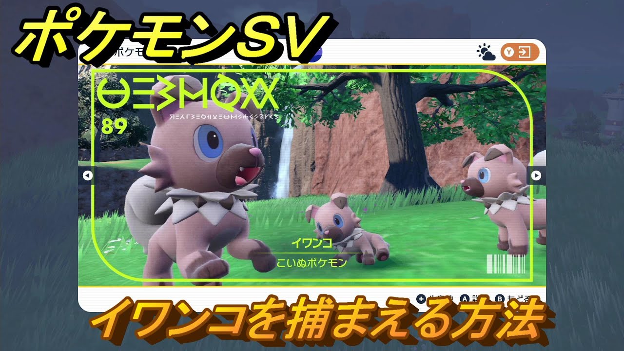 ポケモンＳＶ　イワンコを捕まえる方法！出現場所は？図鑑No.８９　ポケモン図鑑を埋めよう！　【スカーレット・バイオレット】