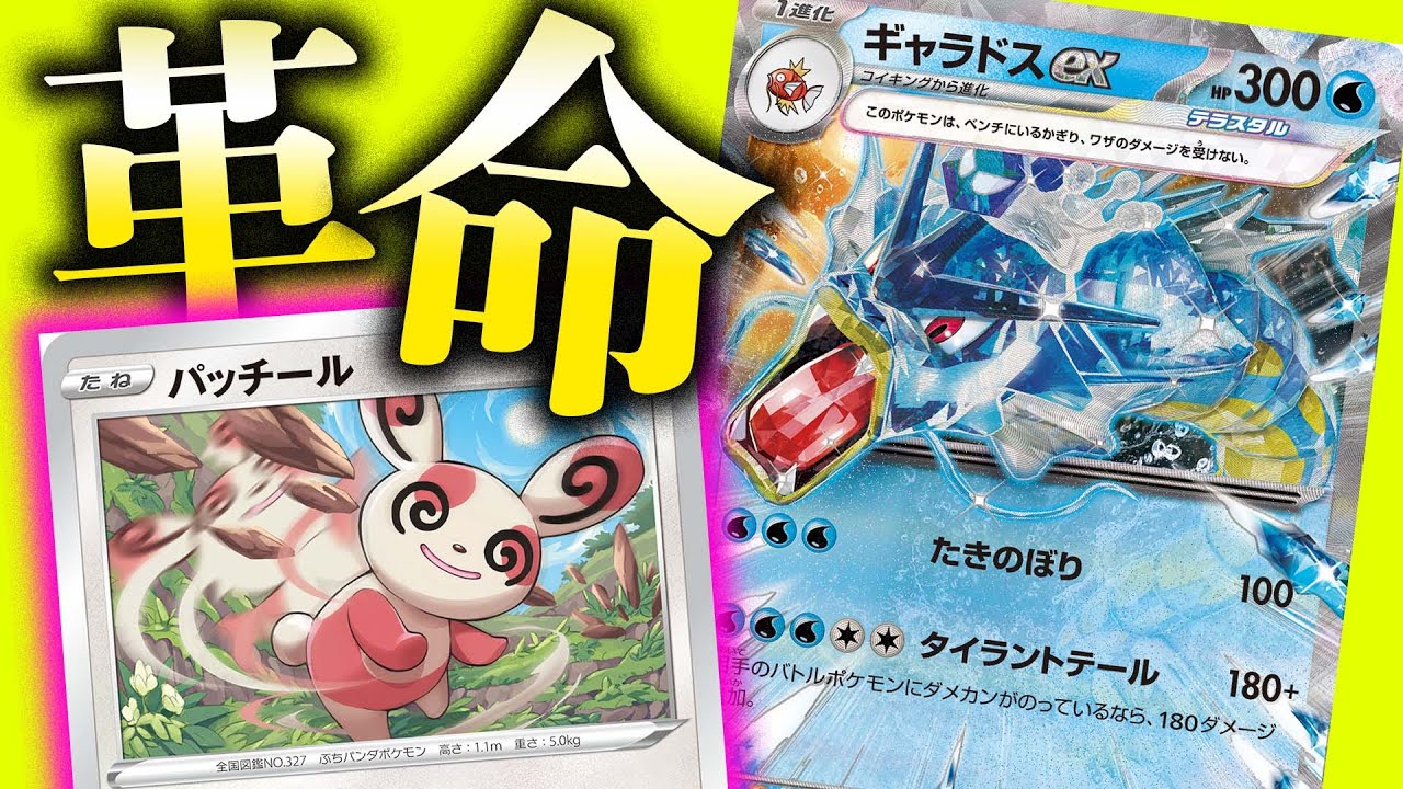 パッチールってカード知ってる？ギャラドスexと相性抜群なのでは？【ポケカ/対戦】