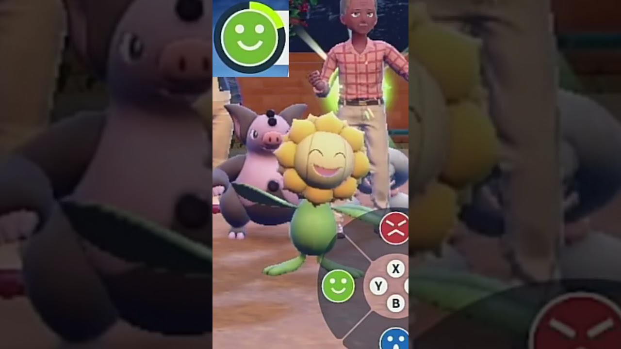 【キマワリ】ポケモンエクササイズ【パルデア図鑑No.32】#Shorts