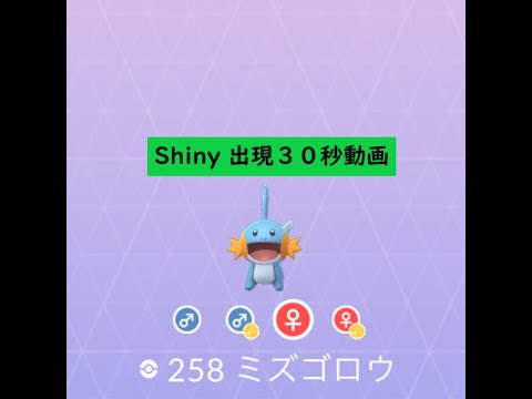 【Pokémon GO】FEST 2020＃258 ミズゴロウ ☆shiny☆#Shorts